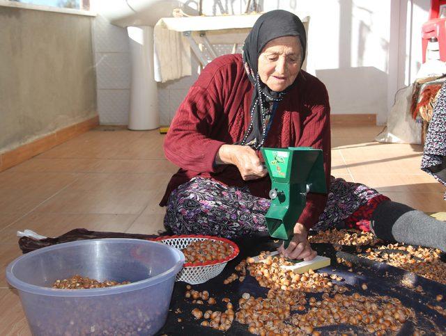 Devletin, okullarda ve askeri birliklerde fındık dağıtması istendi