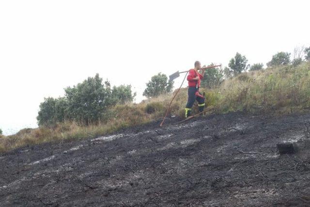 Erdek’te arazi yangını