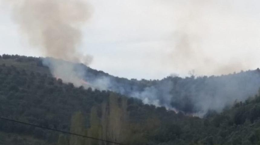 Erdek&rsquo;te arazi yangını