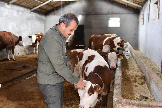 Vali Sonel, köylerde üreticileri ziyaret etti, tesisleri inceledi