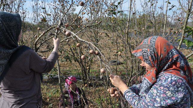 Çiftçi destek ödemeleri 2021: Çiftçiye gübre, mazot, çay, tohum, tarımsal destek ödemesi ne zaman hangi tarihte verilecek?
