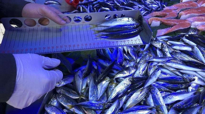 Balık tezgahları denetlendi