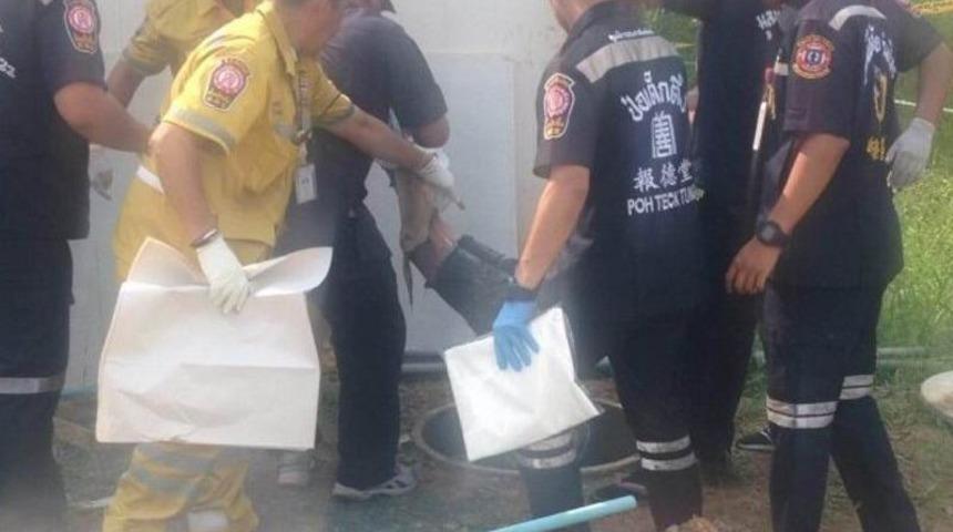 Vejetaryen restoranında müşteriyi öldürüp yemek yaptı