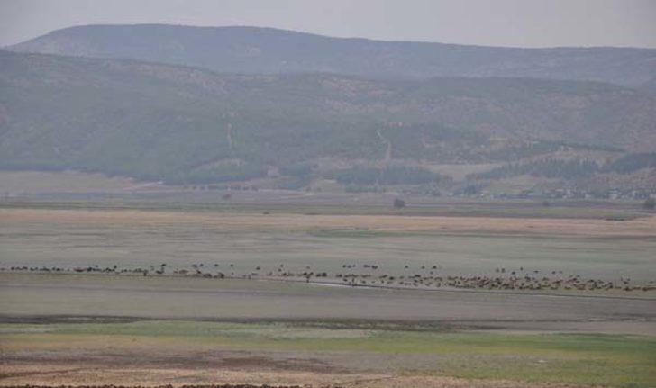 Baraj suları çekilince tarih ortaya çıktı G5