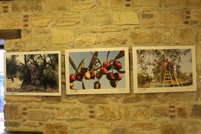 İbramaki Sanat Galerisi’nde ‘Zeytin’ konulu fotoğraf sergisi