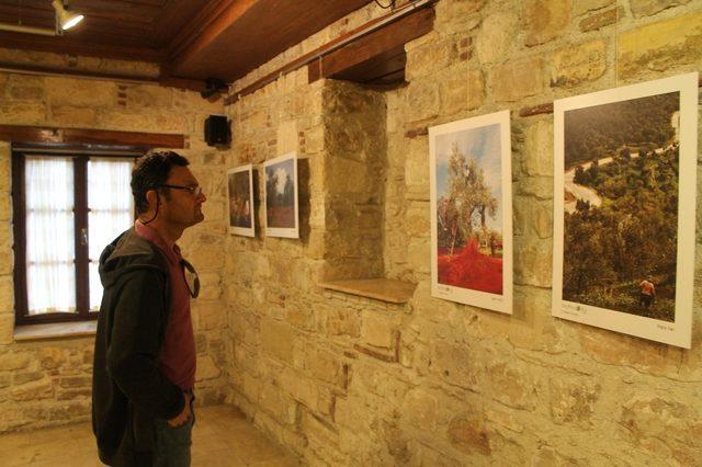 İbramaki Sanat Galerisi’nde ‘Zeytin’ konulu fotoğraf sergisi