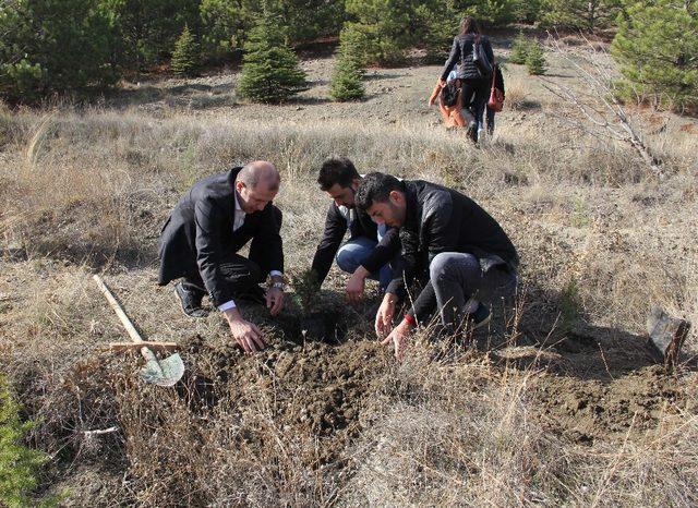 Kırıkkale’de üniversiteli gençler fidan dikti