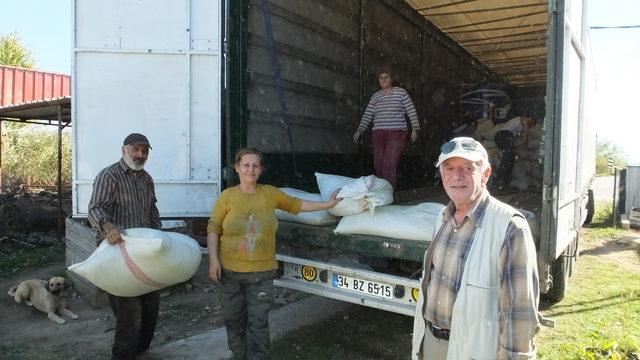 Burhaniye ilaç sanayine 'şeker otu' üreten merkez oldu