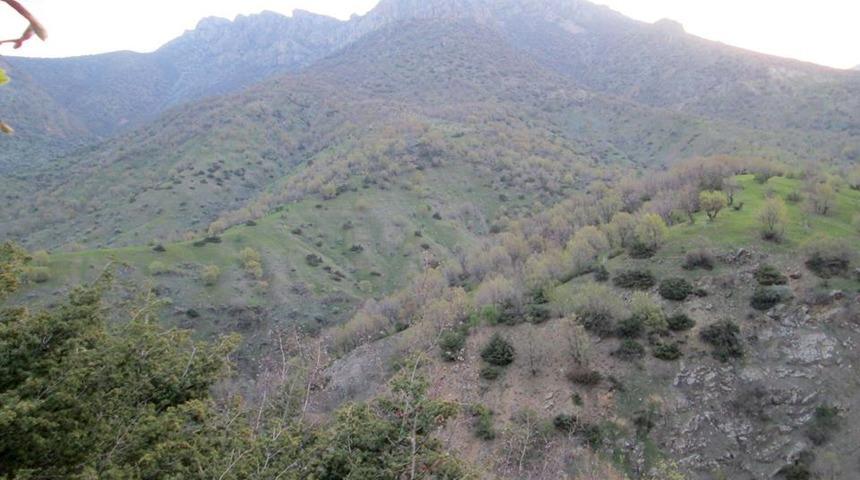 Kozluk kırsalında tespit edilen EYP imha edildi