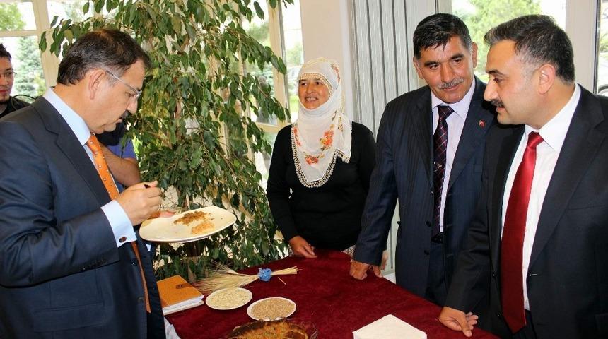 &rsquo;Develi Gaceri&rsquo; Cumhurbaşkanlığı Tohum Gen Bankası kaydında