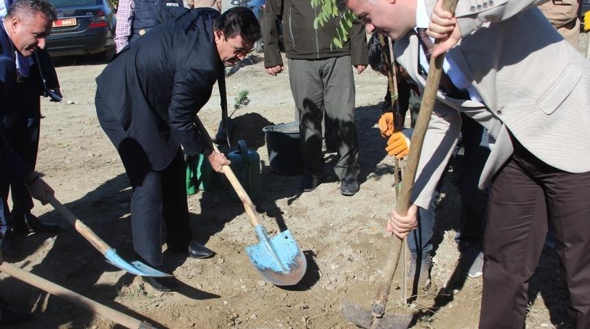 H&uuml;k&uuml;ml&uuml;ler Erzincan&rsquo;da fidan dikti