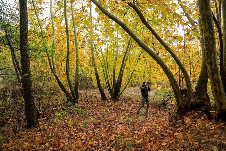 Tabloları aratmayan sonbahar manzarası G3