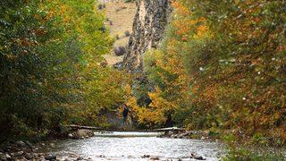 Tabloları aratmayan sonbahar manzarası