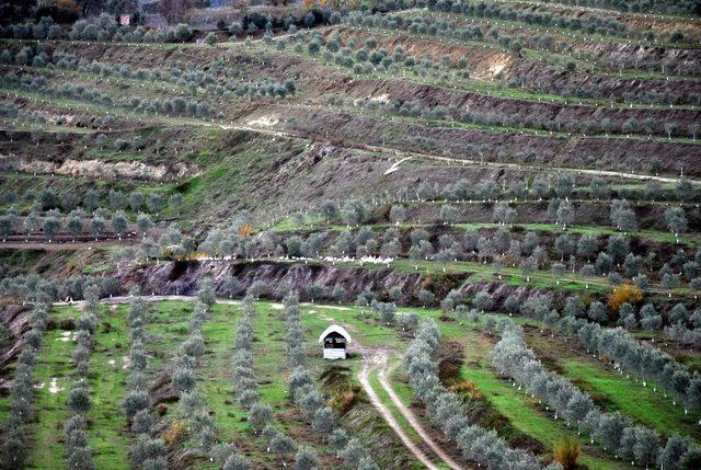 Atıl durumdaki 300 dönüm alanı ekonomiye kazandıran tesisin müdürüne plaket