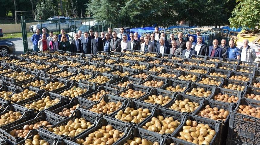 19 Mayıs&rsquo;ta kivi hasadı