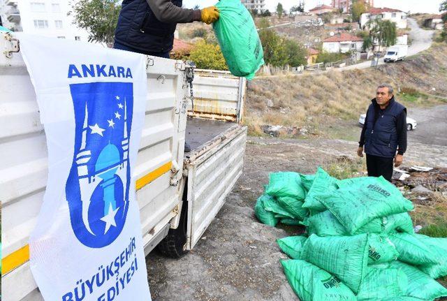 Ankara Büyükşehirden 80 bin dar gelirli aileye kömür yardımı