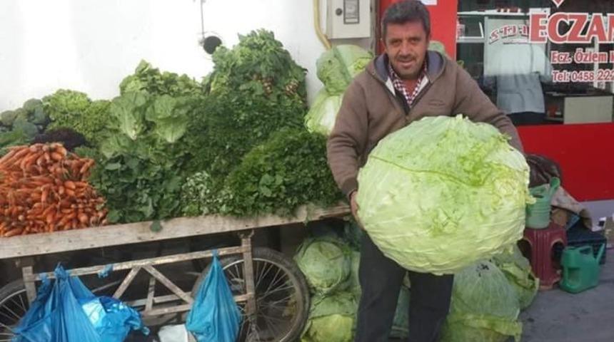 Bayburt lahanası tezgahlarda yerini aldı