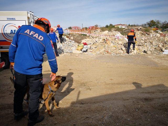 Bölgesel düzey intikal ve masabaşı tatbikatı