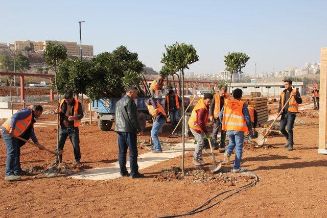 Şanlıurfa’da yeşillendirme atağı