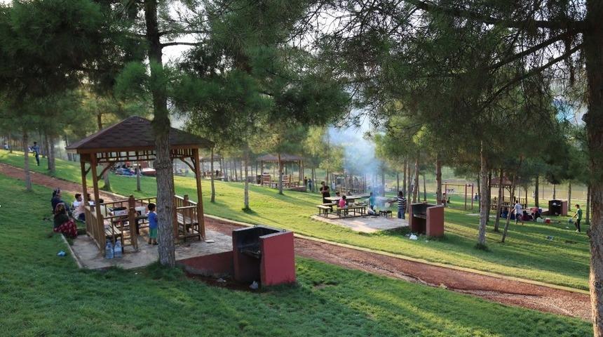 Şanlıurfa&rsquo;da yeşillendirme atağı