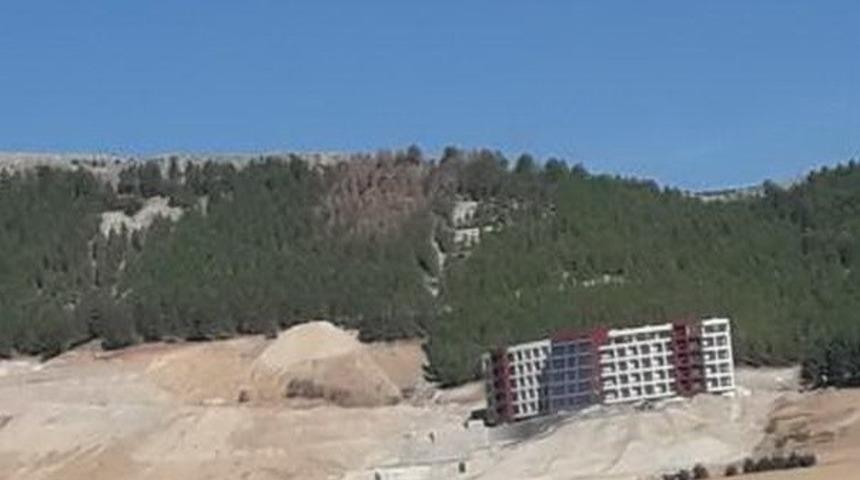 Ormandaki ağa&ccedil;lar kurumaya başladı