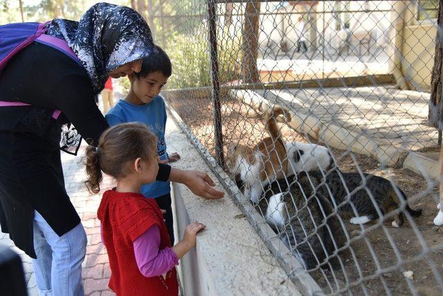 Öğrenciler Hayvan Bakım merkezini gezdi