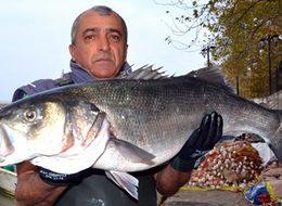 Bir metrelik levrek 700 liraya satıldı