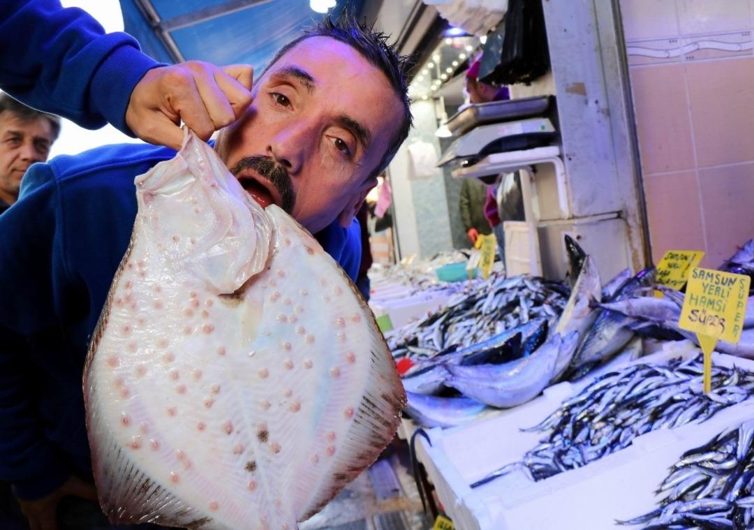 Palamut gitti, kalkan geldi