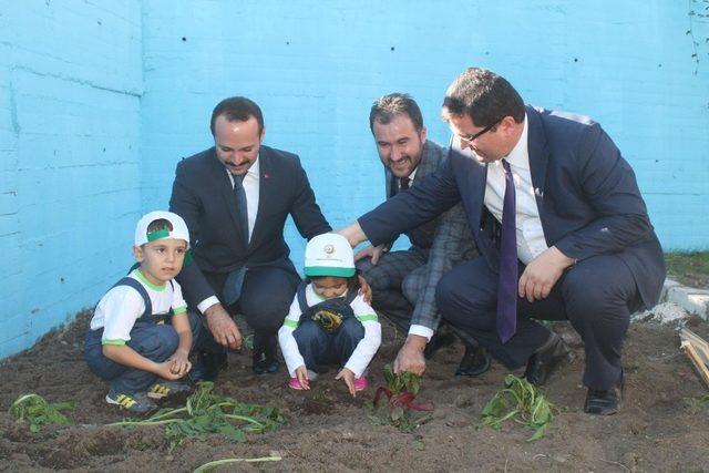 Ordu’da ‘Minik Eller Çiftliği Projesi’