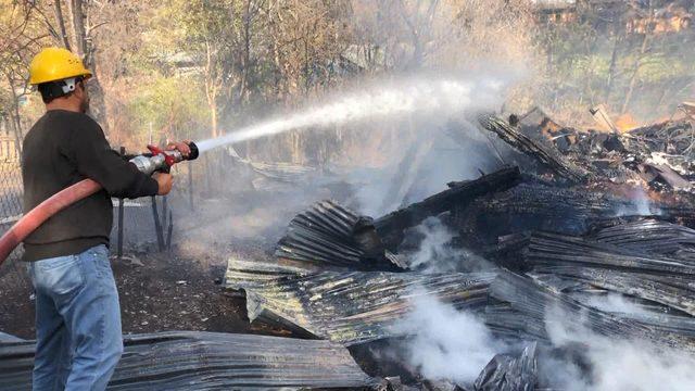 Artvin'de çıkan yangın, 31 yıl önceki olayı akıllara getirdi