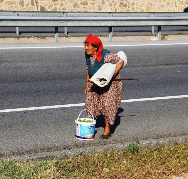 Gülsüm Nine’nin yaşam azmi