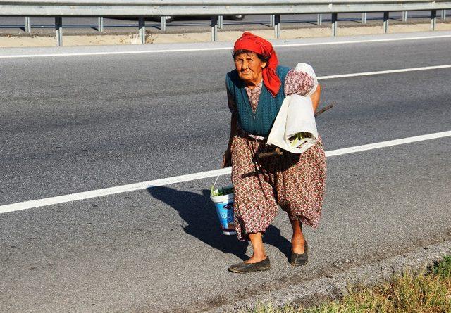 Gülsüm Nine’nin yaşam azmi