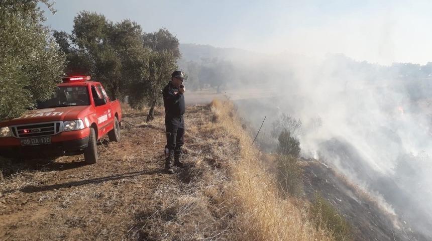Aydın&rsquo;da arazi yangını
