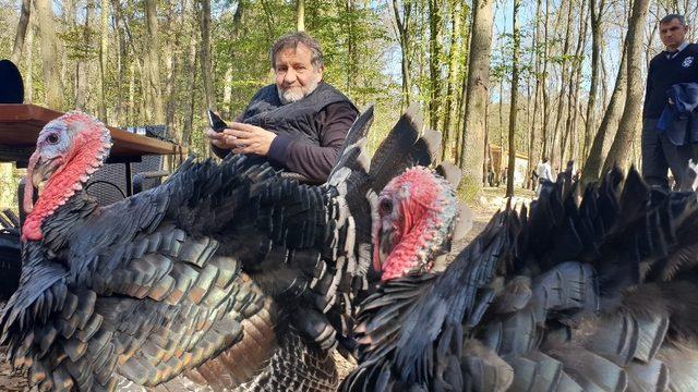 Çoşkun Aral, kadrajına Ormanya’yı aldı