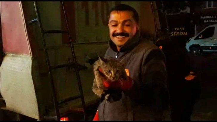Tatvan’da kedi kurtarma operasyonu G1