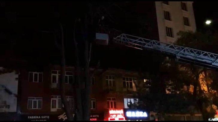 Tatvan’da kedi kurtarma operasyonu G2