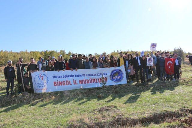 Bingöl’de 2 bin 443 fidan dikildi