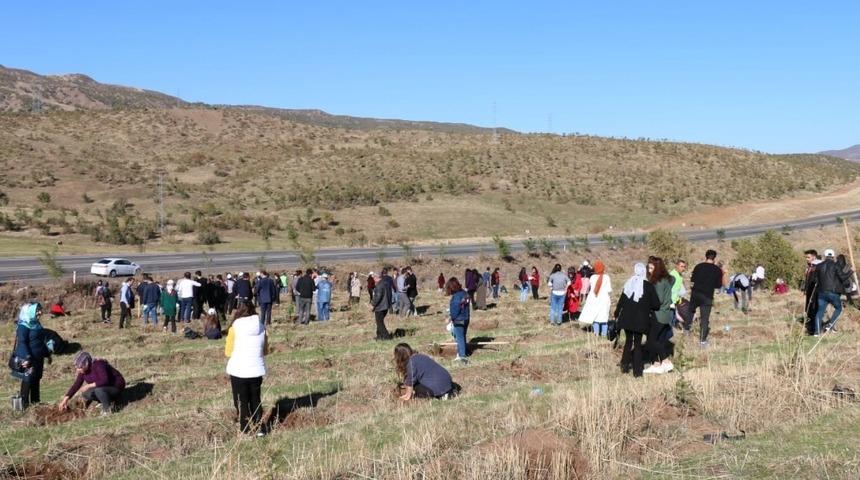 Bing&ouml;l&rsquo;de 2 bin 443 fidan dikildi