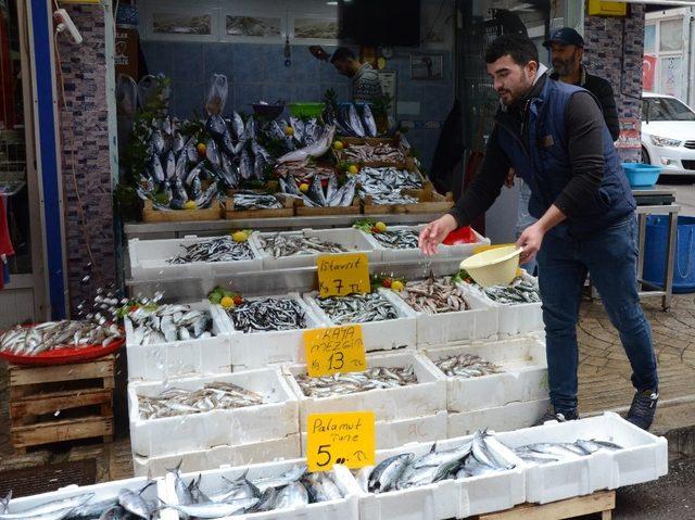 Balık fiyatları düşüşe geçti