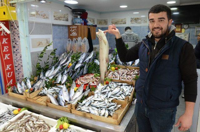 Balık fiyatları düşüşe geçti