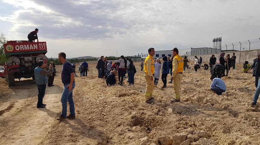 &Uuml;niversiteli &ouml;ğrenciler fidanları toprakla buluşturdu