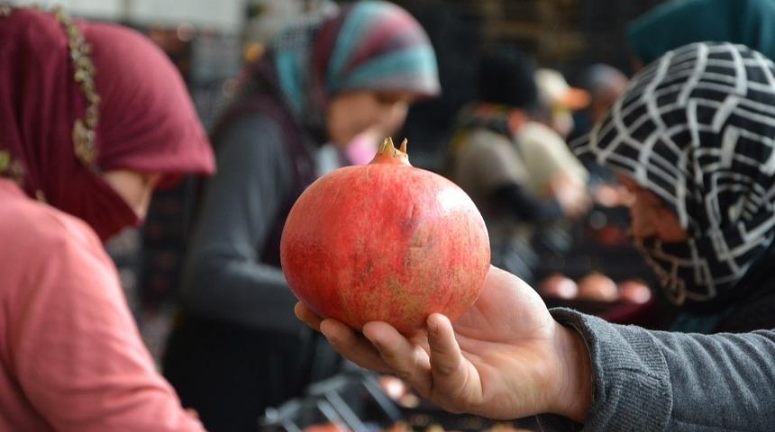 Rusya&rsquo;nın narı Korkuteli&rsquo;den ihra&ccedil; ediliyor