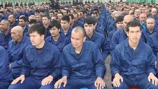 İlber Ortaylı: Kamplar... İşkence korkunç