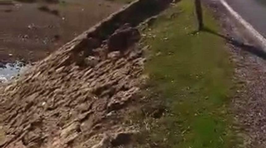 Tek Şeritli K&ouml;pr&uuml; Tehlike Sa&ccedil;ıyor