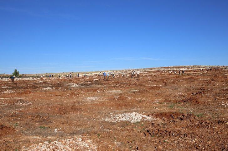 Şehitkamil’de 17. etap bi dünya yeşil ormanı kuruluyor G2