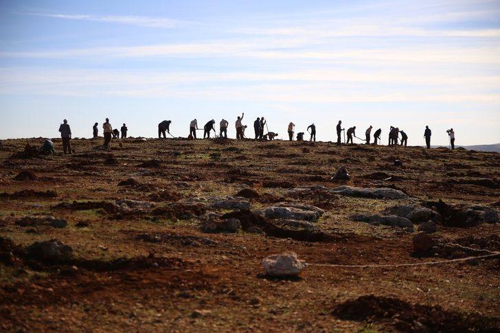 Şehitkamil’de 17. etap bi dünya yeşil ormanı kuruluyor G4