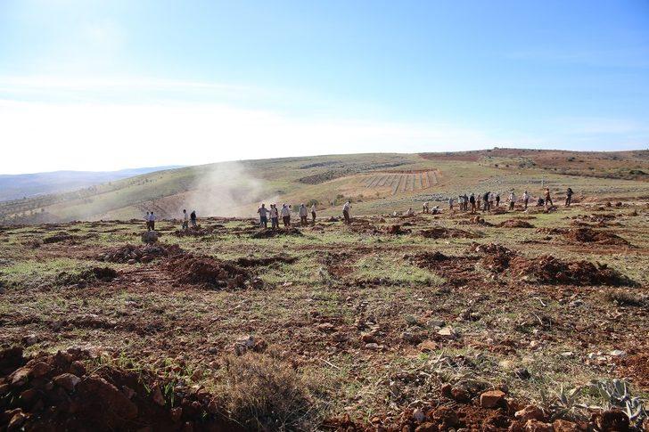 Şehitkamil’de 17. etap bi dünya yeşil ormanı kuruluyor G5