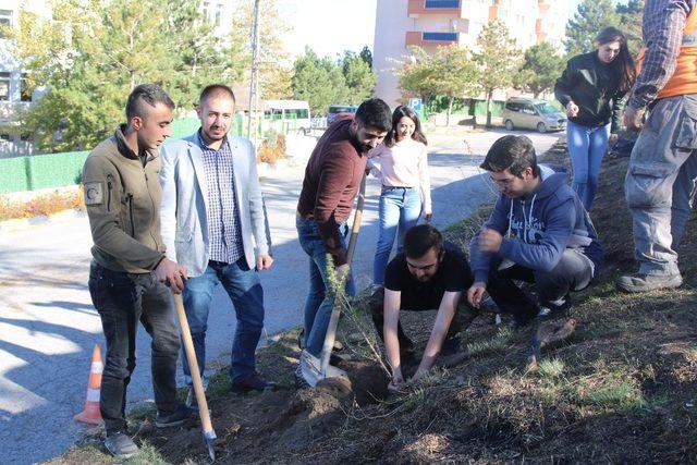 Özdoğan, amacımız daha yeşil bir Hacılar