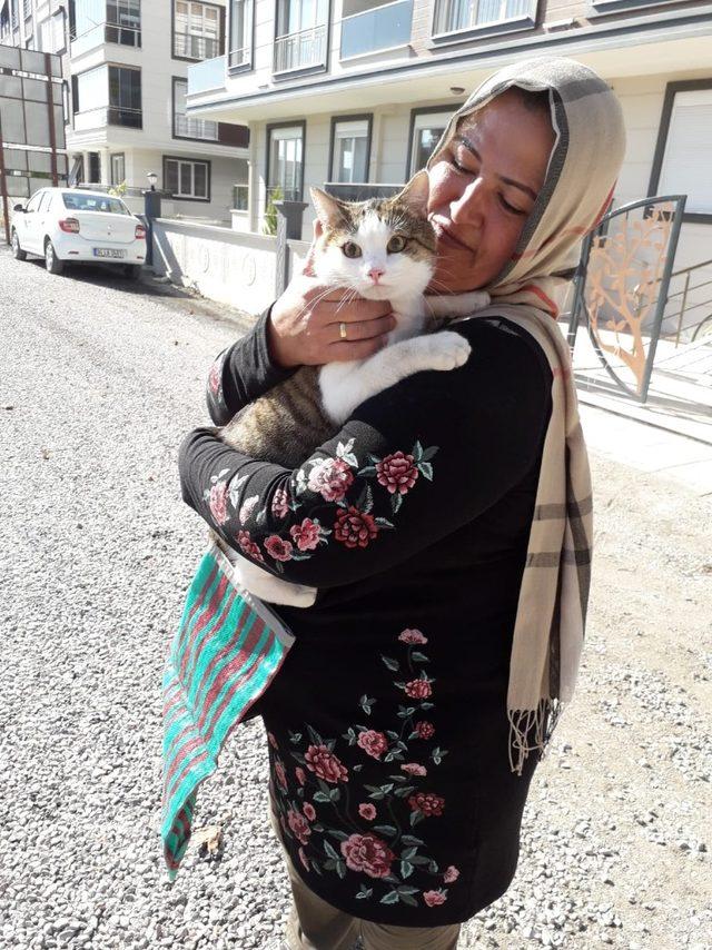 Kurtarılan kedi sahibini görünce sevinçten çılgına döndü