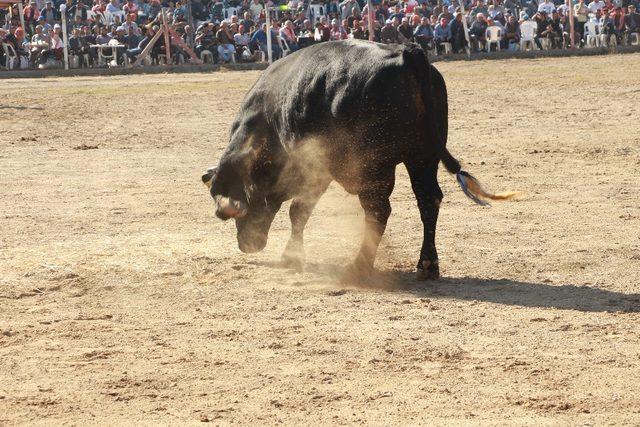 Germencik Arenası Türkiye Şampiyonası’na ev sahipliği yaptı